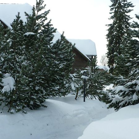 Hapimag Ferienwohnungen Braunlage Ngoại thất bức ảnh